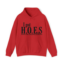 Load image into Gallery viewer, I got HOES Hoodie