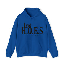 Load image into Gallery viewer, I got HOES Hoodie